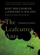 Image of leafcutter ants civilization by instinct