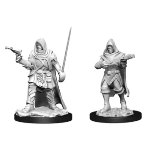 Image of Pathfinder Battles Deepcuts Unpainted Miniatures (W13)Human Rogue Male