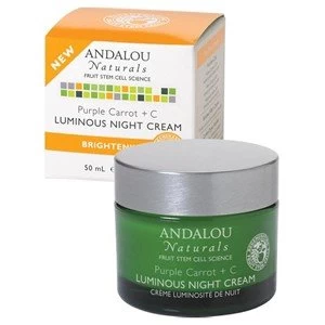 image of Andalou Naturals Brightening Purple Carrot C Luminous Night Cream 50ml