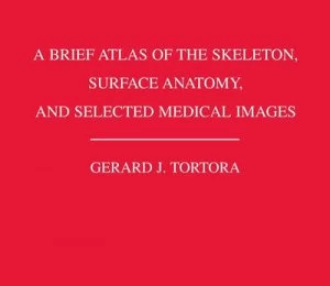 Image of A Brief Atlas of the Human Skeleton Surface Anatomy and Selected Medical Images by Gerard J. Tortora Paperback