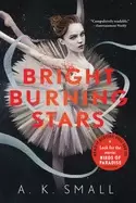 Image of bright burning stars