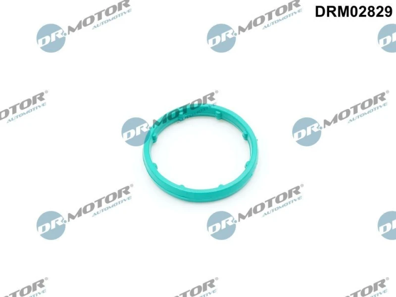 Image of DR.MOTOR AUTOMOTIVE Oil cooler gasket DR.MOTOR AUTOMOTIVE DRM02829