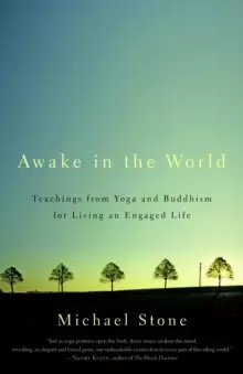 Image of Awake in the World : Teachings from Yoga and Buddhism for Living an Engaged Life