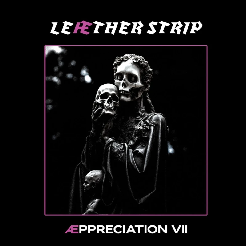 Image of Aeppreciation VII CD / Album