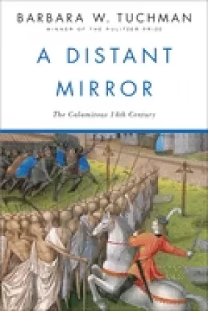 Image of distant mirror the calamitous 14th century