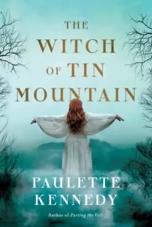 Image of The Witch of Tin Mountain