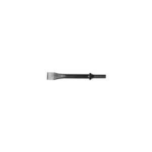 image of A046073 Flat Chisel