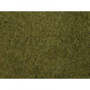 image of NOCH 07282 Foliage Grasslands Olive green