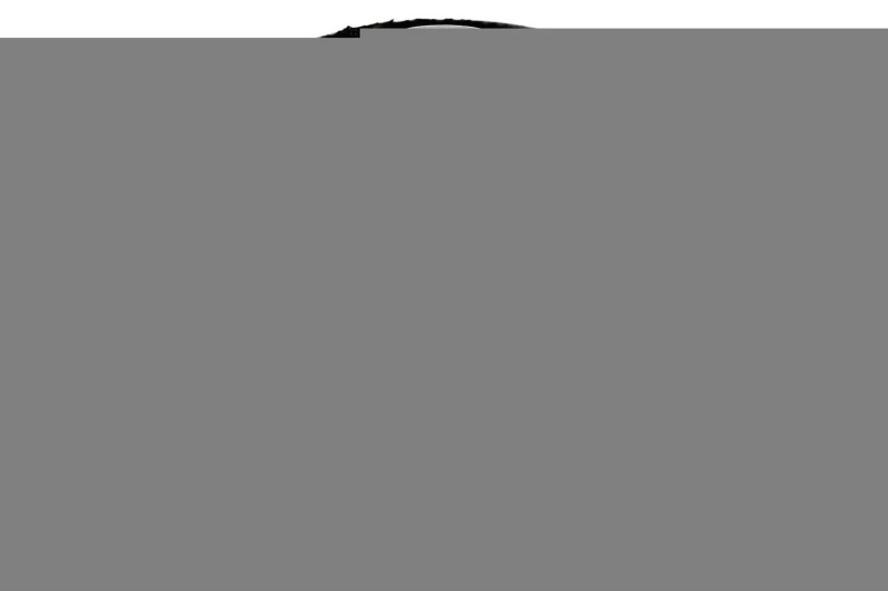Image of SPIDAN CHASSIS PARTS Bush, leaf spring SPIDAN CHASSIS PARTS 411174
