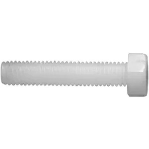 image of TOOLCRAFT 830220 Hexagon head screws M2.5 16mm Hex head DIN 933 Plastic, Polyamide 10 pc(s)