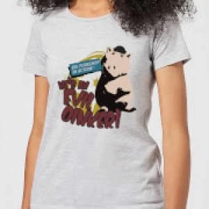 Image of Toy Story Evil Oinker Womens T-Shirt - Grey - 3XL
