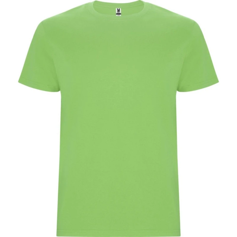 Image of ROLY Stafford Short-Sleeved T-Shirt in Green Size: 11-12 Years Green Unisex 11-12 Years