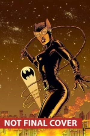 Image of Catwoman Volume 3 Under Pressure by Ed Brubaker