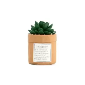 Image of Plant Kindness - Friendship