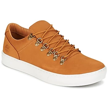 Image of Timberland ADV 2.0 CUPSOLE ALPINE OX mens Shoes Trainers in Brown