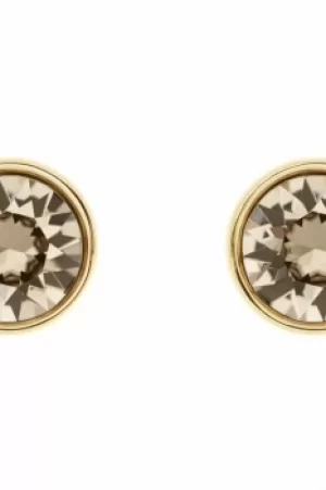 image of Ladies Karen Millen Gold Plated Logo Stud Earring KMJ189-31-29