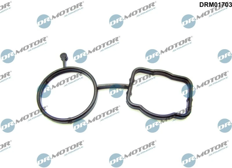 Image of DR.MOTOR AUTOMOTIVE Thermostat housing gasket DR.MOTOR AUTOMOTIVE DRM01703