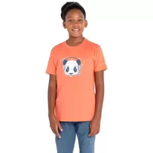 Image of Dare 2B Girls Trailblazer Casual Graphic T Shirt 9-10 Years- Chest 27-28', (69-72cm)