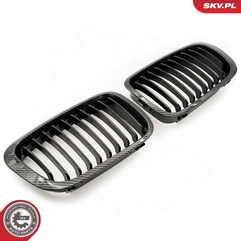 Image of ESEN SKV Radiator Grille ESEN SKV 66SKV065