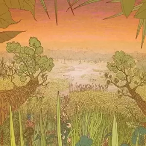 Image of Pine Barons - Mirage On The Meadow Vinyl