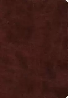 Image of ESV Super Giant Print Bible