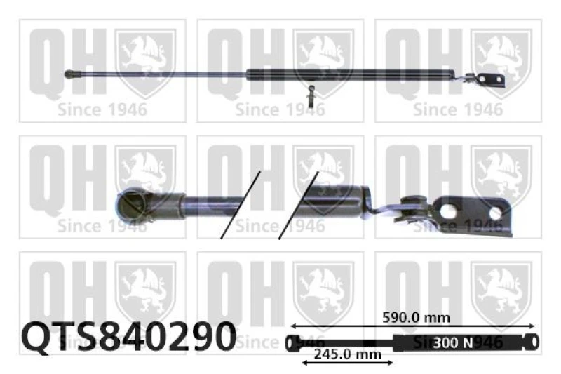 Image of QUINTON HAZELL Tailgate strut QUINTON HAZELL QTS840290