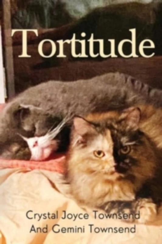 Image of Tortitude Paperback / softback