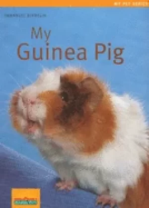 Image of my guinea pig