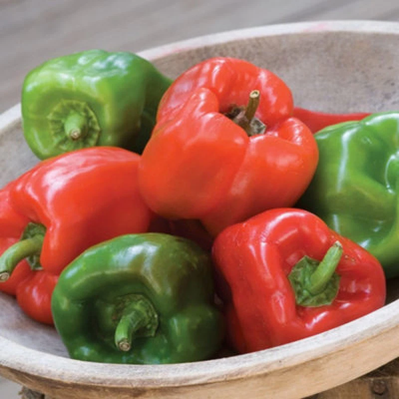 Image of Thompson & Morgan Sweet Crispy F1 Red Pepper Seeds - Medium Thick-Walled Sweet Flavor