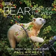 Image of bear spirit of the wild