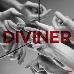 Image of Hayden Thorpe - Diviner Vinyl