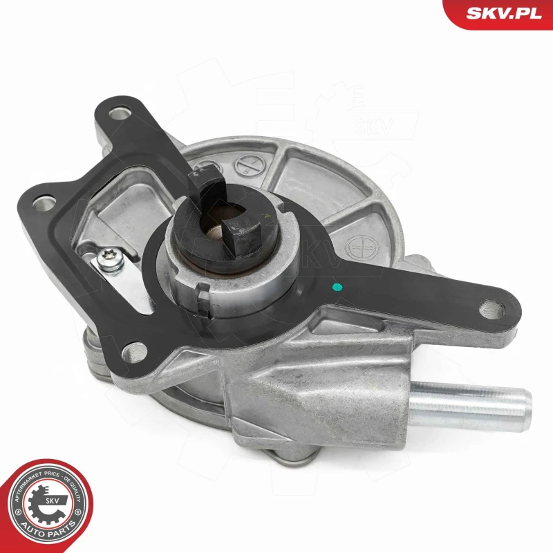 Image of ESEN SKV Brake vacuum pump ESEN SKV 18SKV072