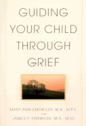 Image of guiding your child through grief
