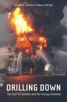 Image of Drilling Down : The Gulf Oil Debacle and Our Energy Dilemma