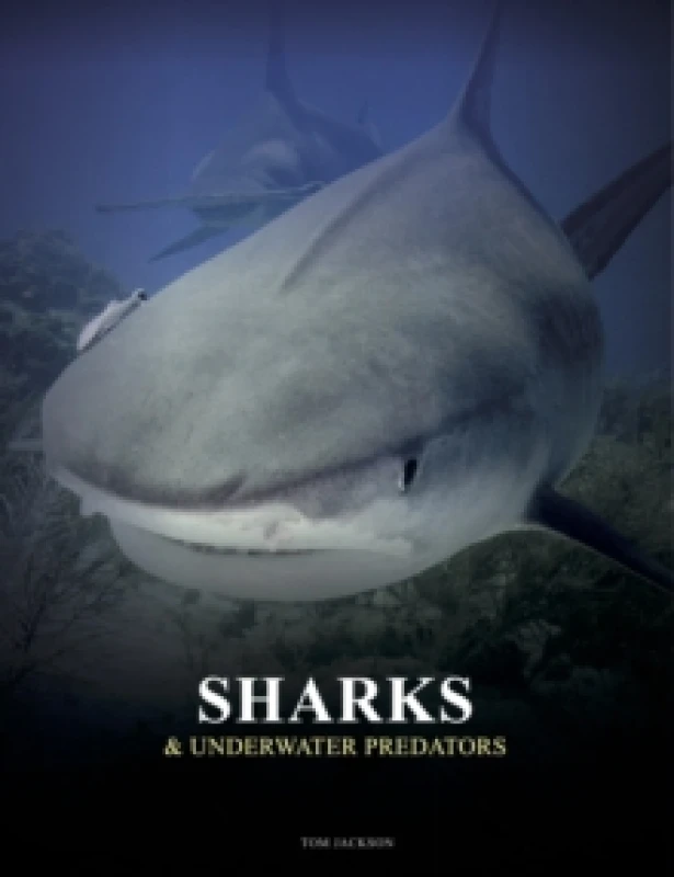 Image of Sharks and Underwater Predators Hardback