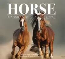 Image of Horse : Magnificent, Playful, Loyal
