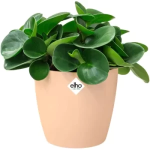 Elho Flower Pot Brussels Round Planter Plant Window Box Indoor Outdoor Plastic nude/3,3 Liter (de)