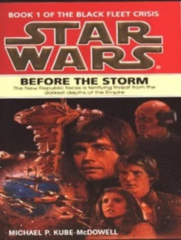 Image of Before the Storm by Michael P Kube-Mcdowell Book