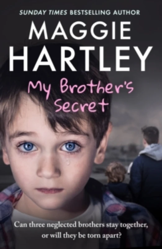 Image of My Brother's Secret : Can three neglected brothers stay together, or will they be torn apart? Paperback / softback