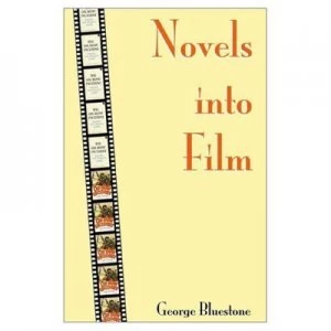 Image of Novels into Film by Bluestone Paperback