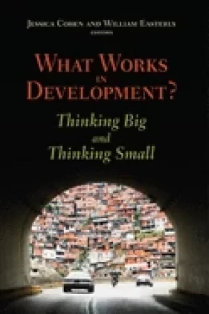 Image of what works in development thinking big and thinking small