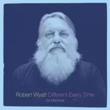 Image of Different Every Time