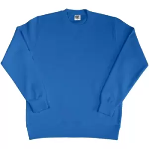 image of SG Ladies/Womens Crew Neck Long Sleeve Sweatshirt (2XL) (Royal)