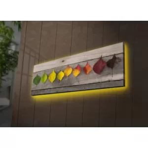 Image of 3090DACT-55 Multicolor Decorative LED Lighted Canvas Painting