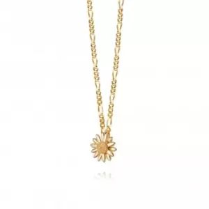 Image of English Daisy 18ct Gold Plate Necklace N2002_GP