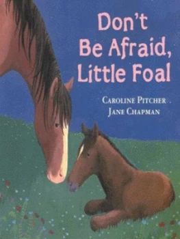 Image of Dont Be Afraid Little Foal by Caroline Pitcher and Jane Chapman Book