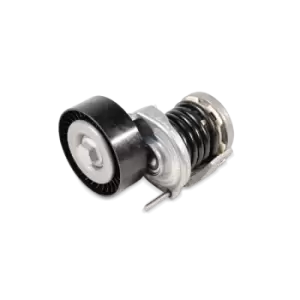 Image of BTA Tensioner Lever, v-ribbed belt VW,AUDI,SKODA E3W0023BTA 038903315AH,038903315AD,038903315AG 038903315AH,038903315AJ,038903315AN,038903315T