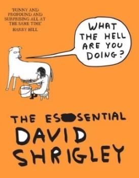 Image of What the Hell Are You Doing by David Shrigley Paperback