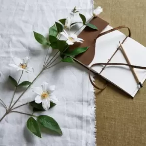 Image of White Florida Clematis