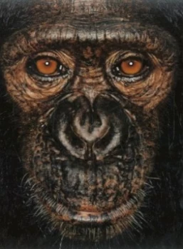 Image of James and Other Apes by James Mollison Hardback